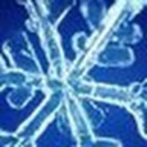 Meet your Posher, Gary